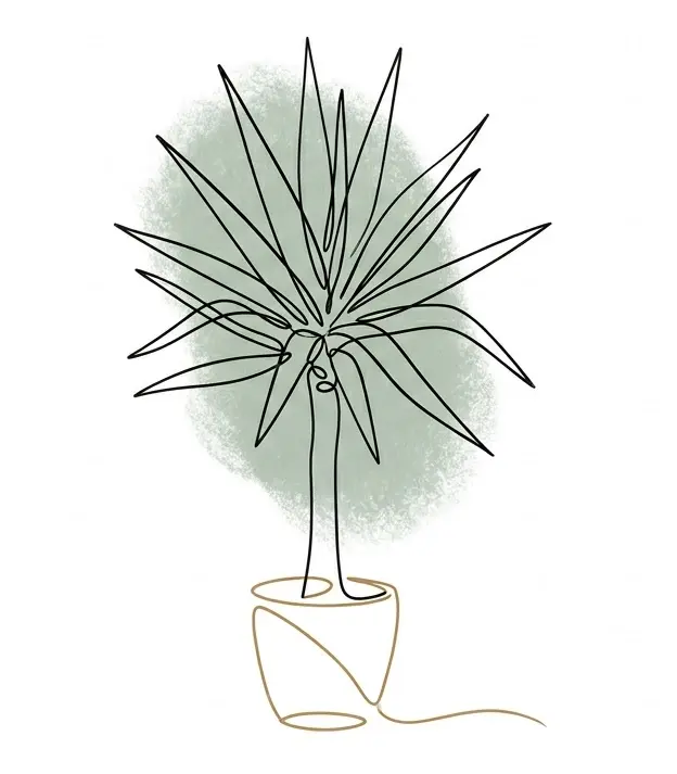 Yucca en trait Gauche